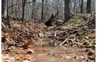 Tract 6 - Spring Water - OKLAHOMA LAND & REAL ESTATE AUCTION, 438 +/- Acres offered in 13 Tracts